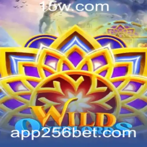 Desvendando WildOverlords: Um Mergulho Profundo no Jogo e nas Regras do 256 Bet